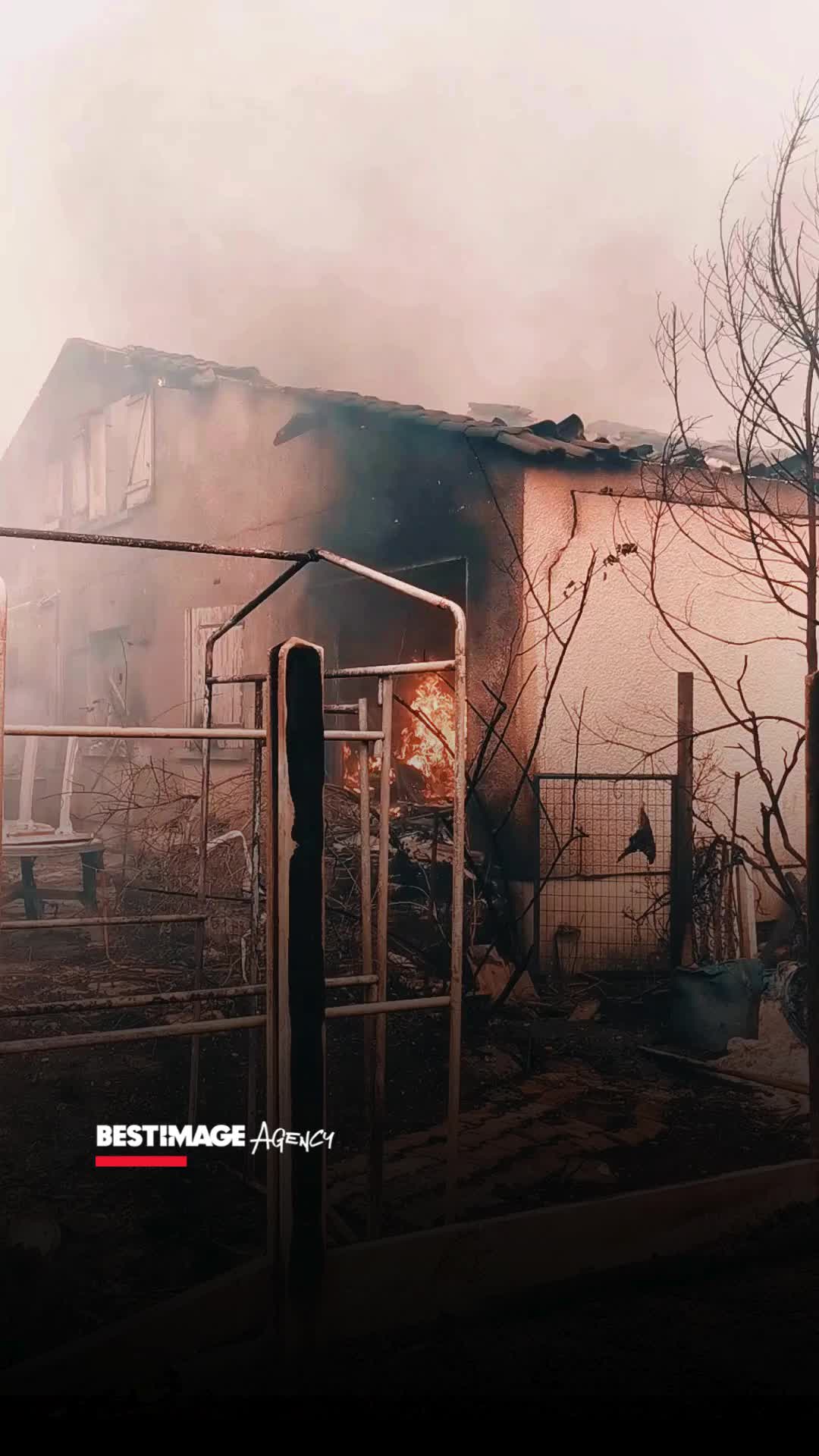 @Bestimage