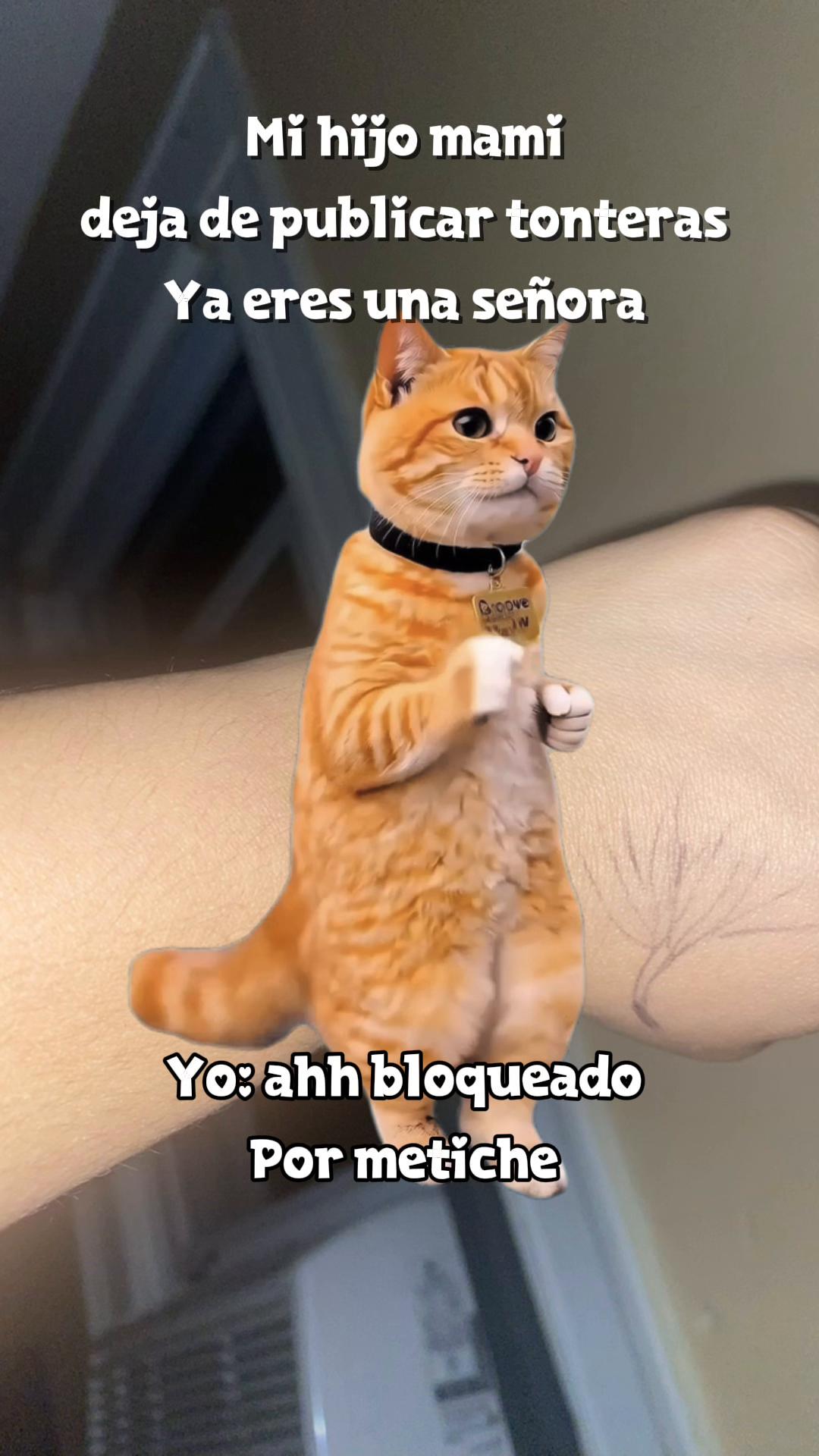 @💛Bonita_Girasol91
