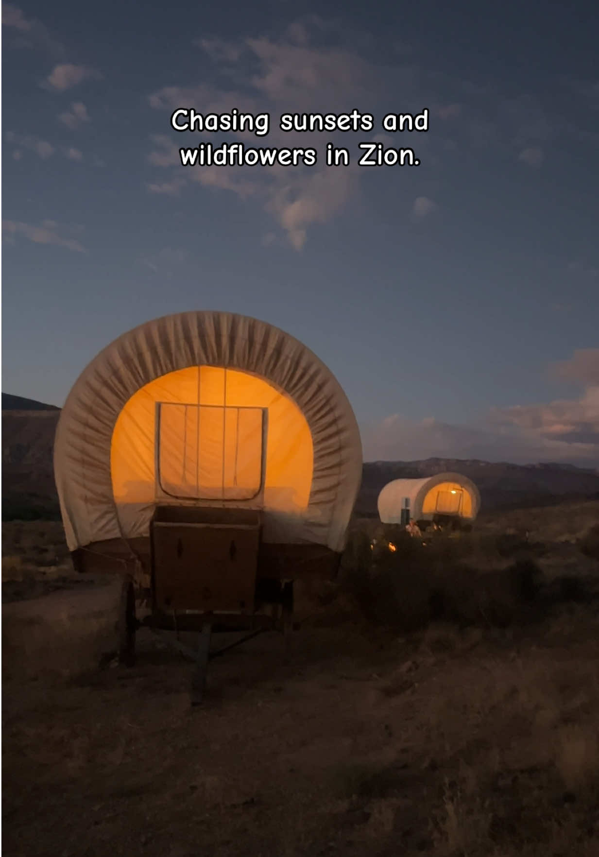 @Travelismytherapy - Zizi -