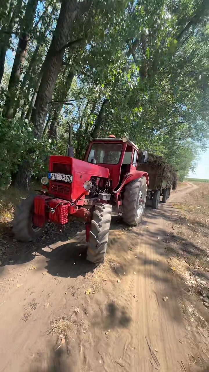 @Szolnoki Egon