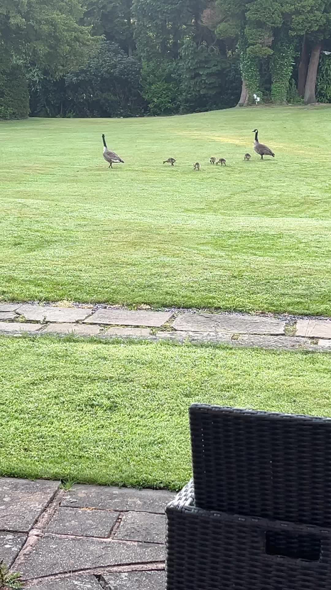 @carmslouise
