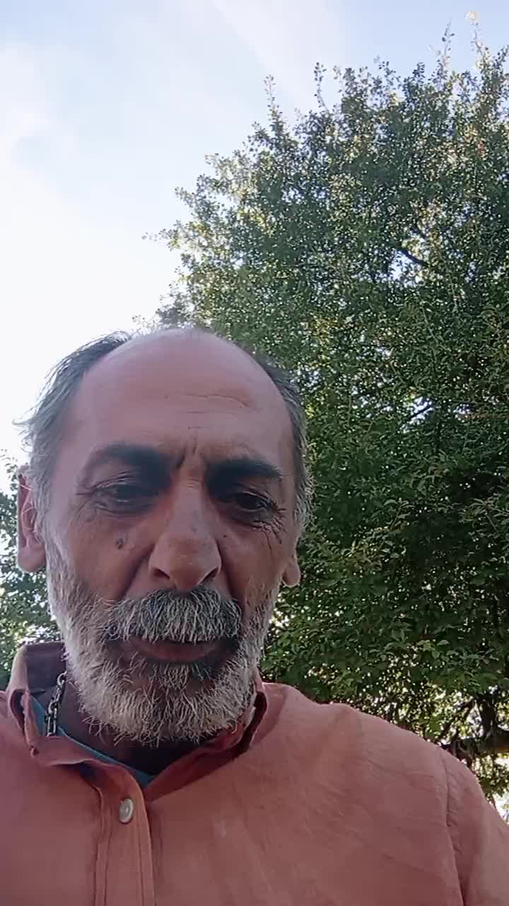 @sebeydintel