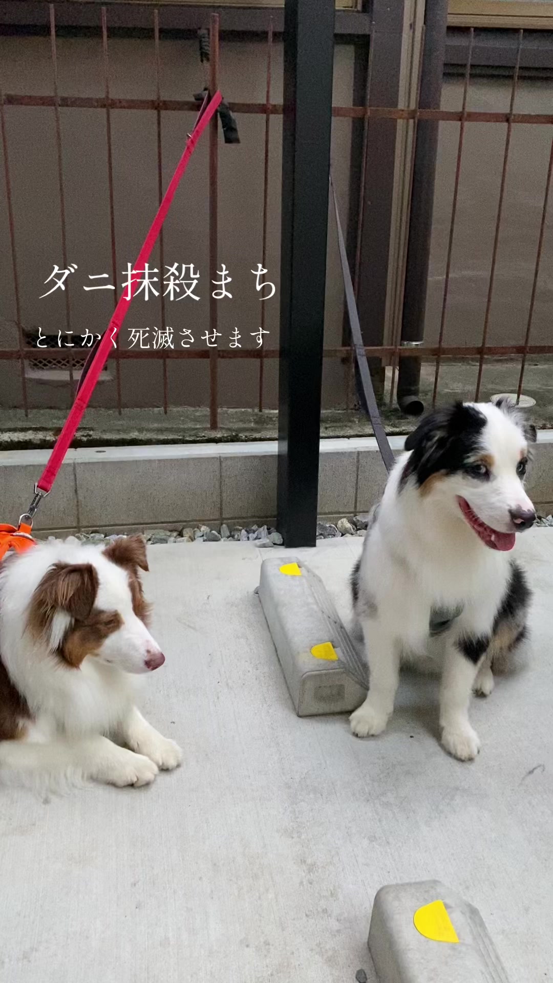 @サン&タマ