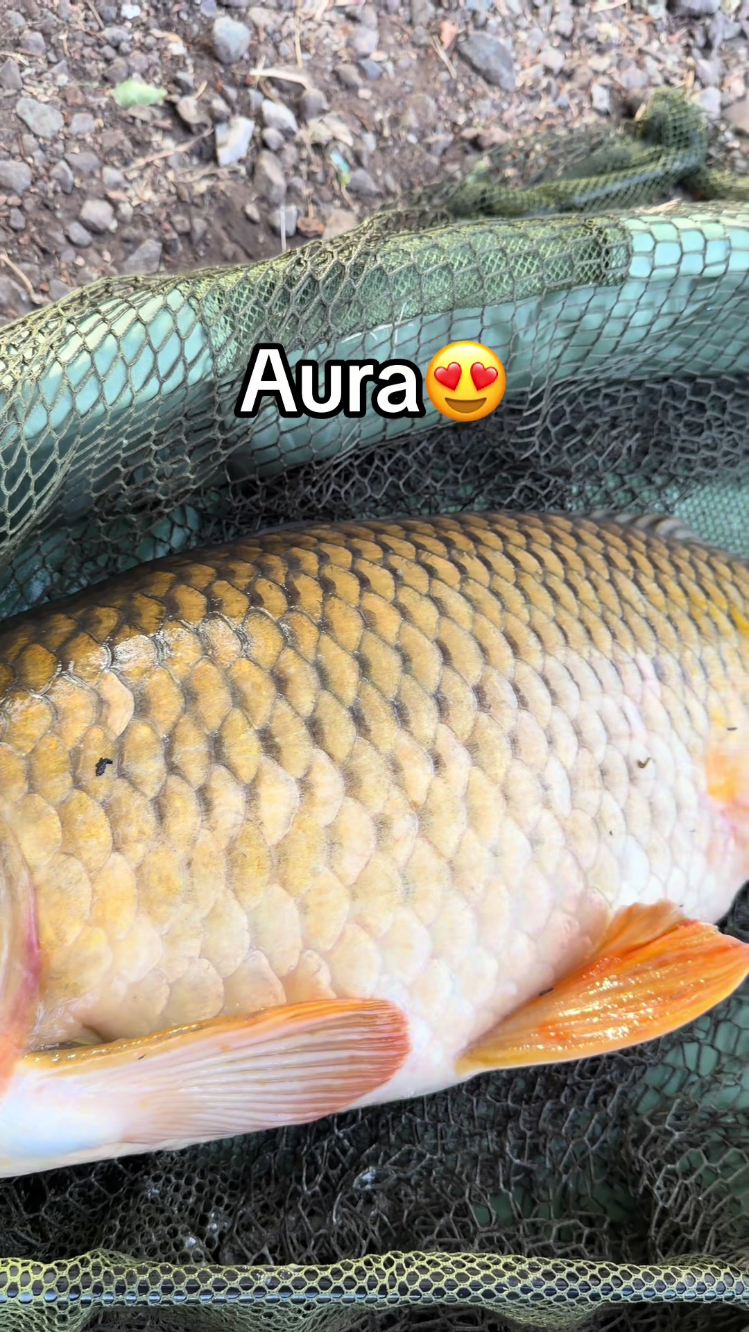 @RoberTabacaru