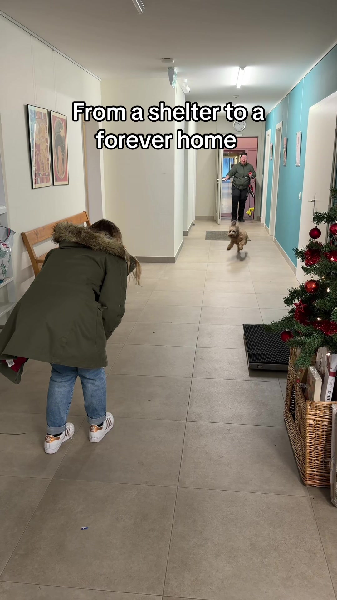 @THE FAMILY OF 5 SWITZERLAND