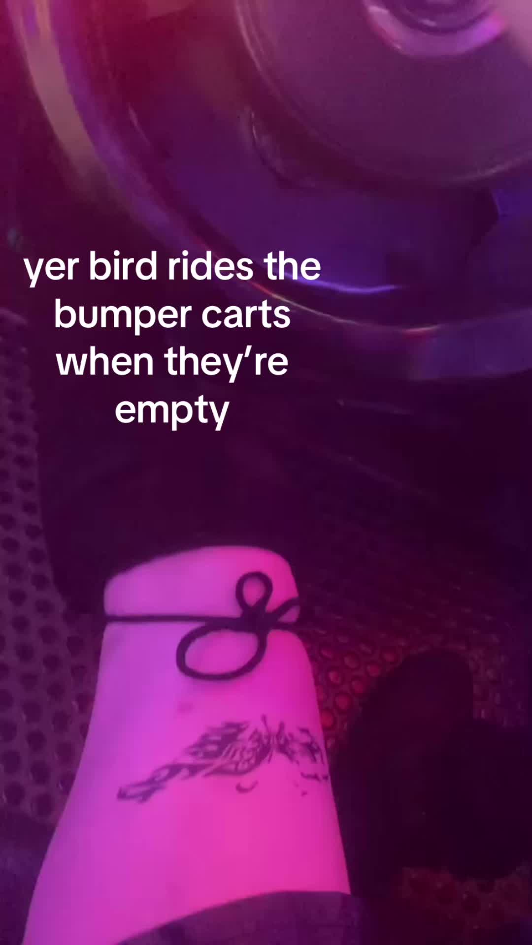 @🕷️