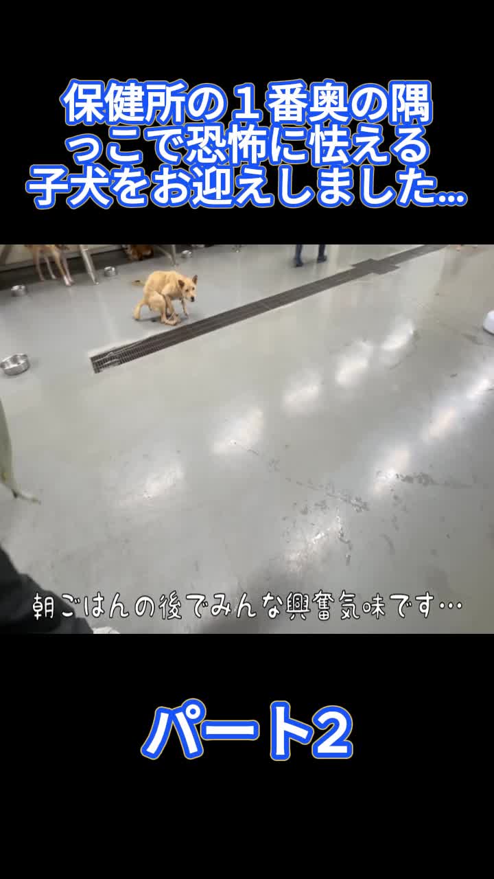 @ブルドッグぶるまるチャンネル Fan