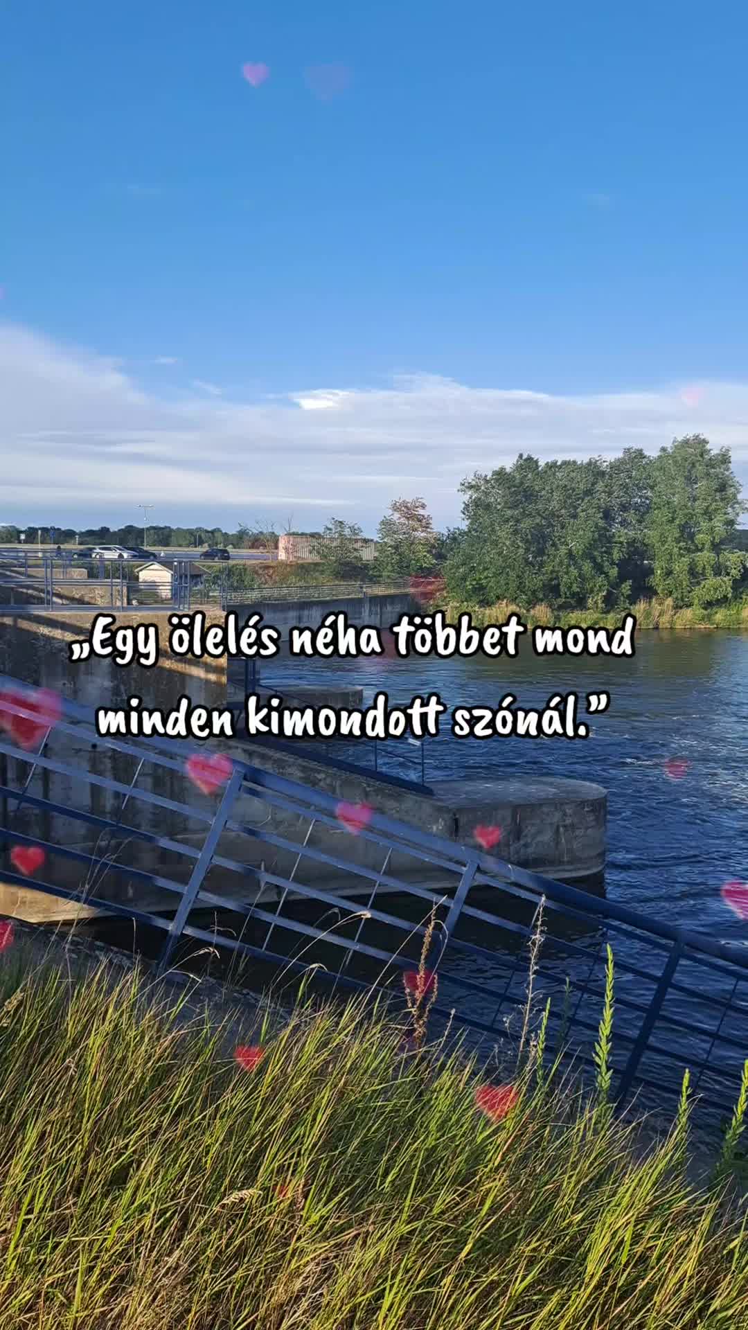 @👑Picisárika👑