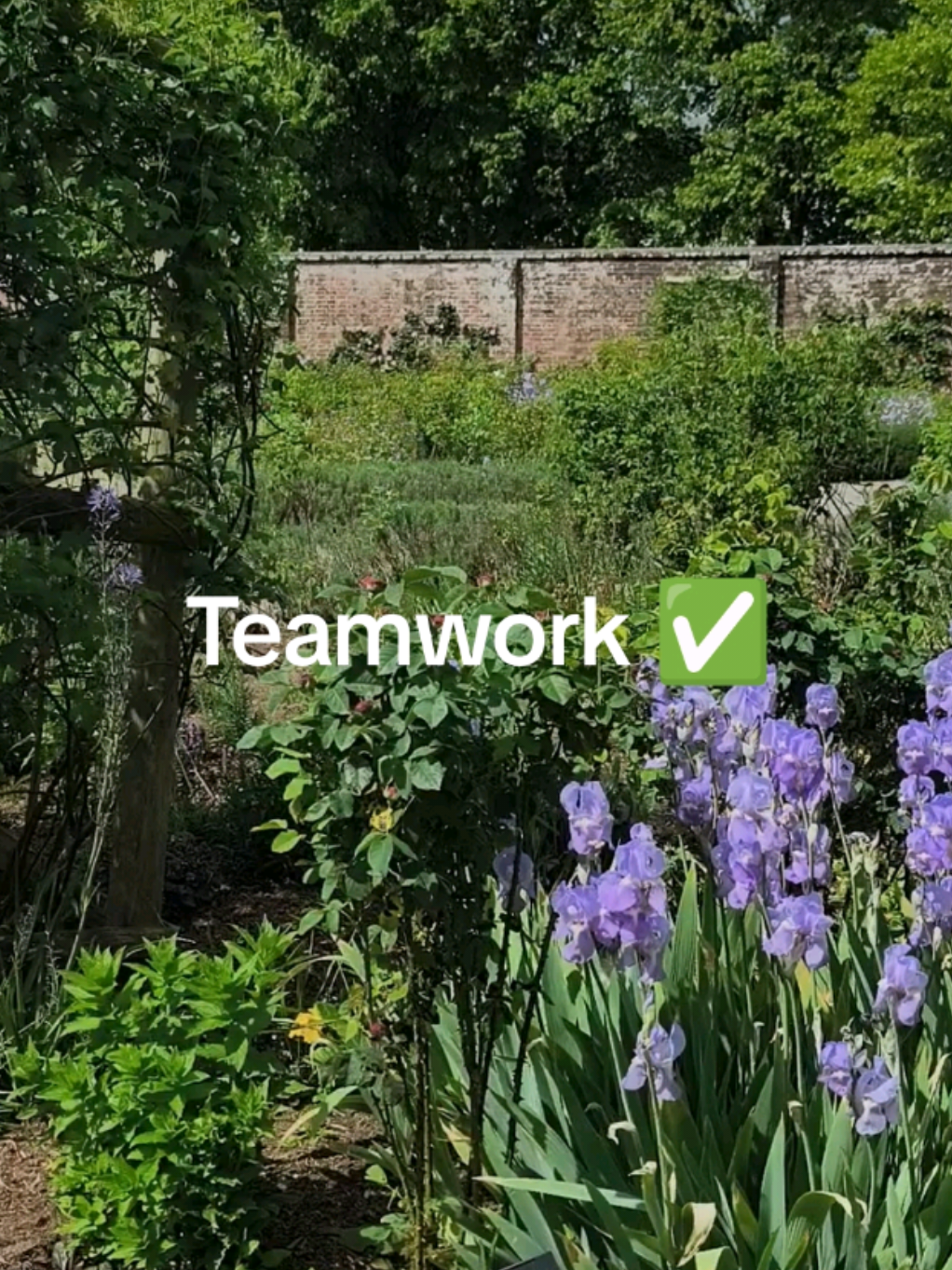 @Teamwork