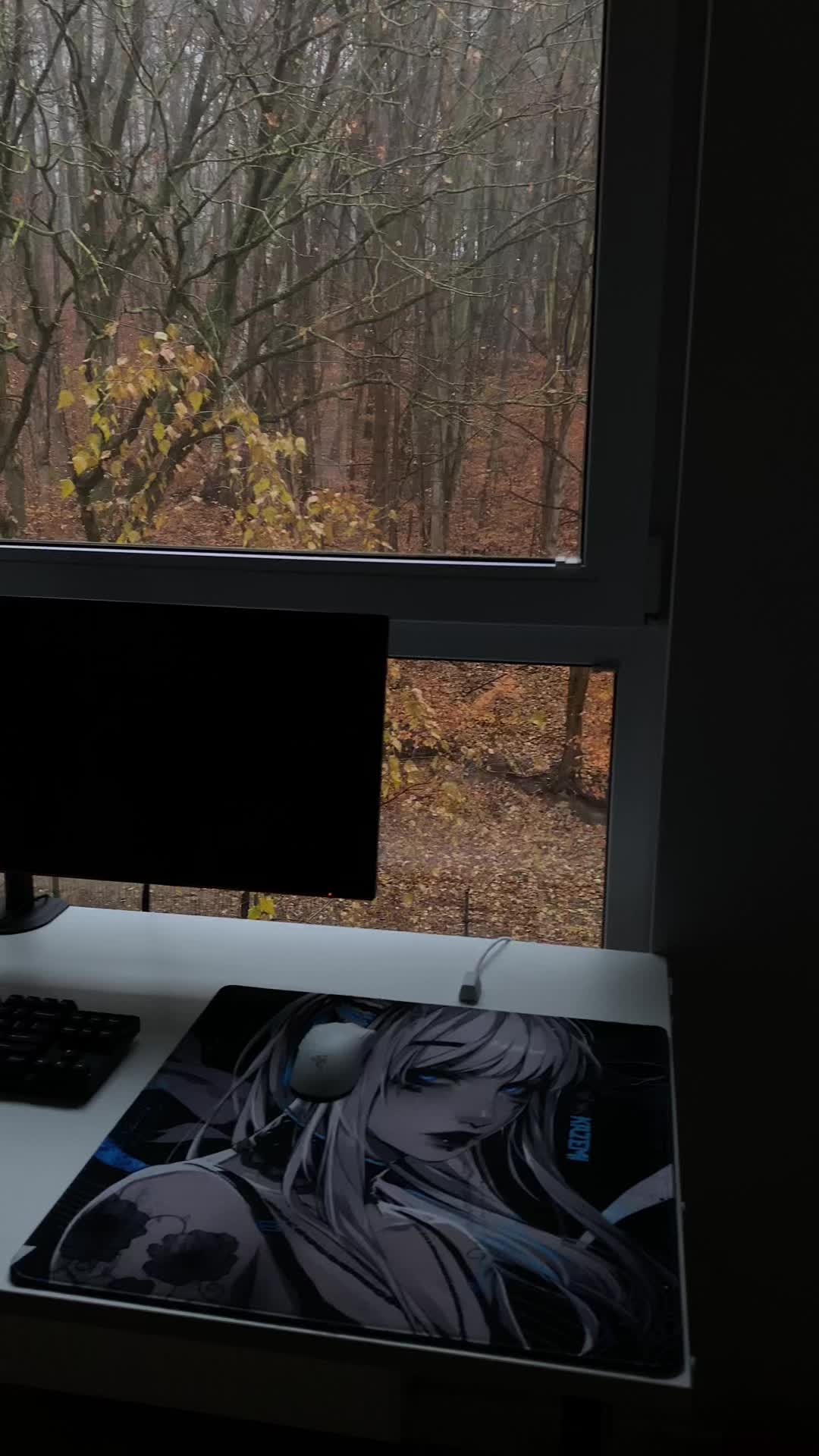 @tekkz24