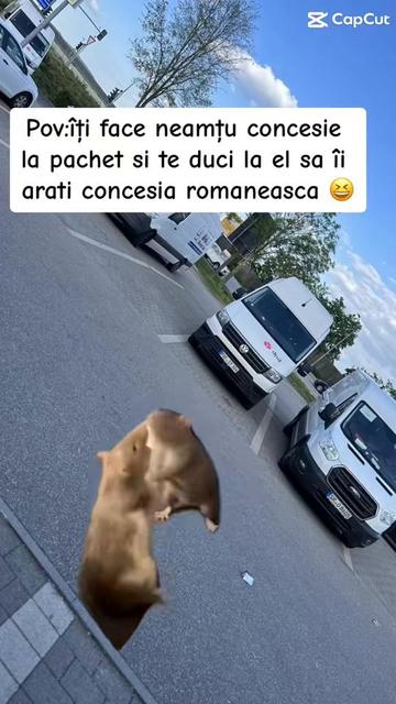@Mihai Vali