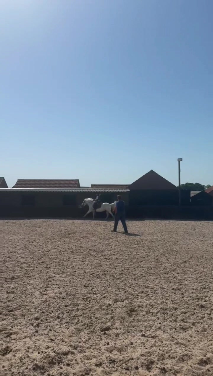 @LottiesHorseAdventures🦄🐴