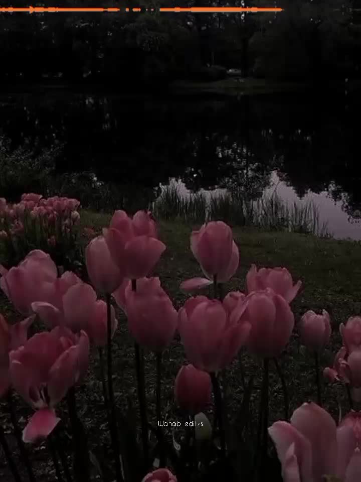 @𝙒𝙖𝙝𝙖𝙗💫