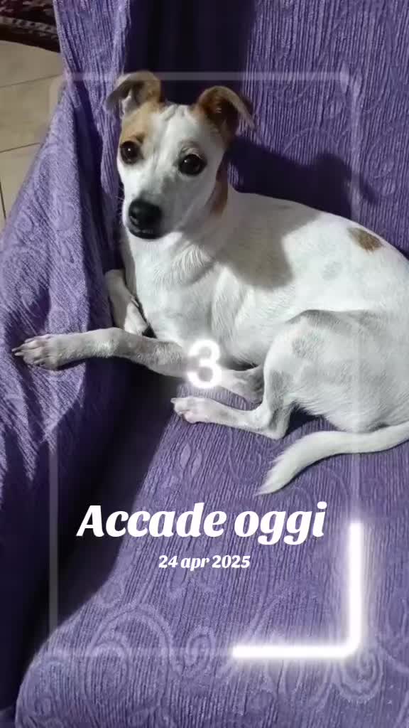 @Mimmo graziano😘