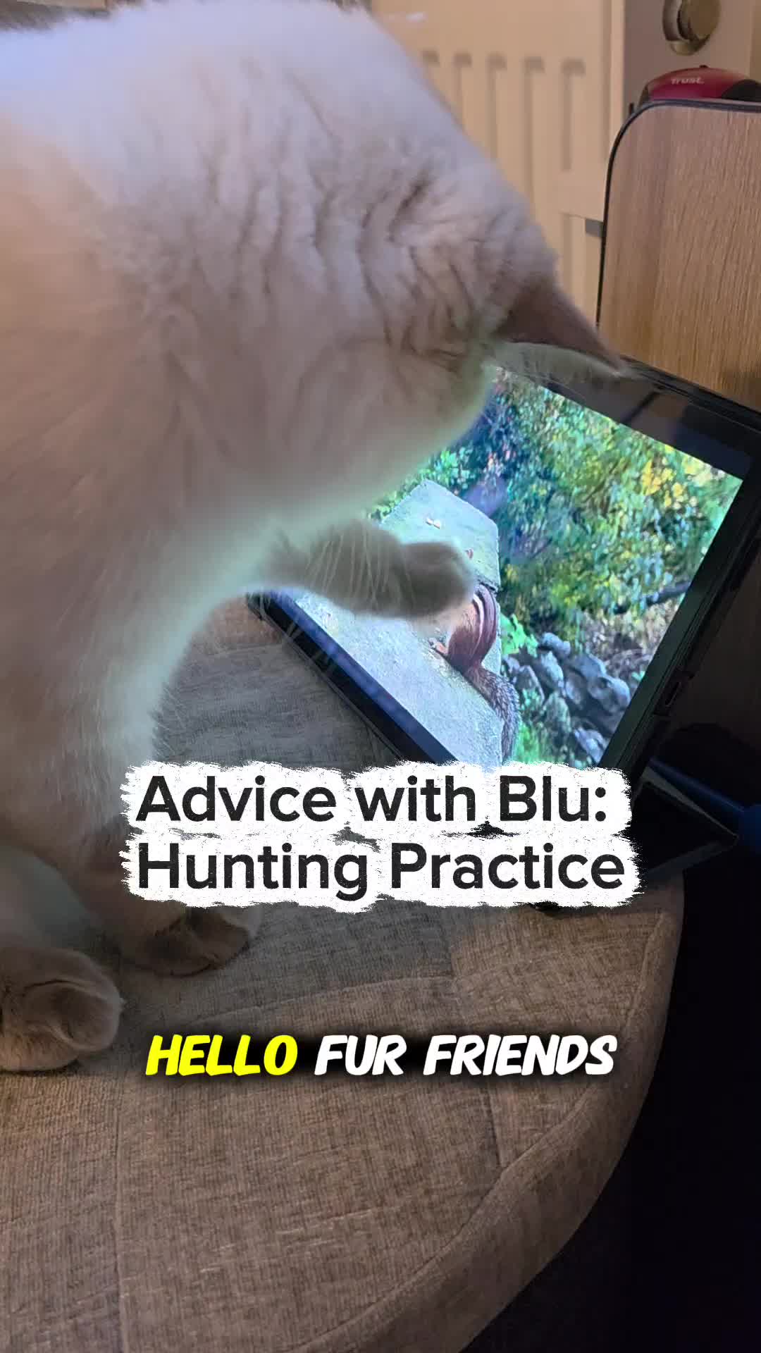 @DailyDoseOfBlu💙