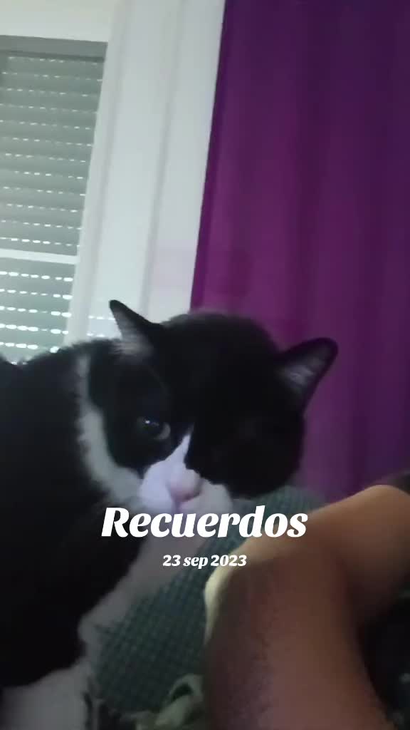 @nunezapariciodvk