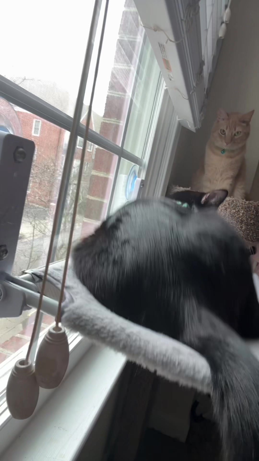 @Kat