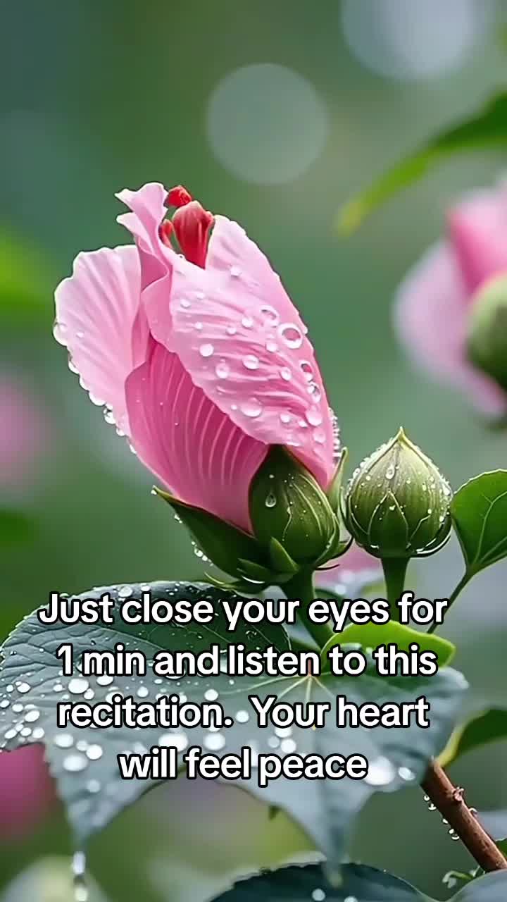 @💐RukSi😊💐