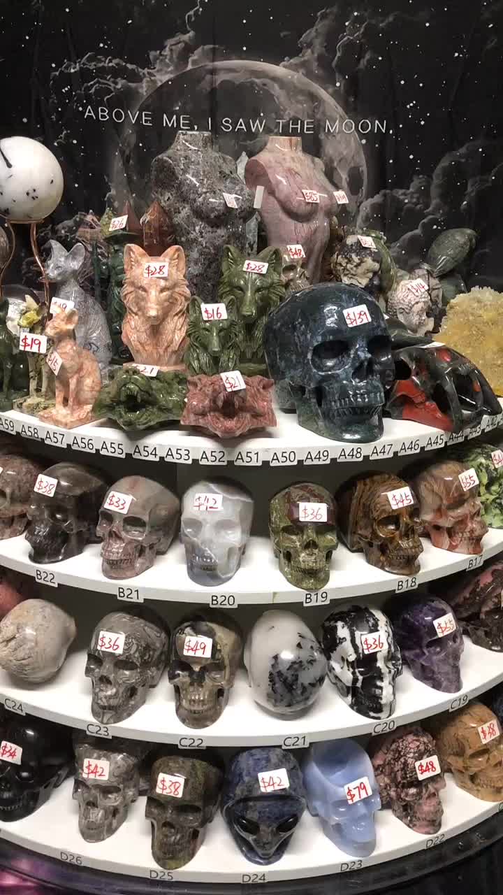 @Mr.Skull