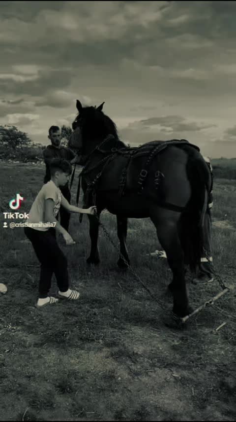 @Cristian Mihaila355