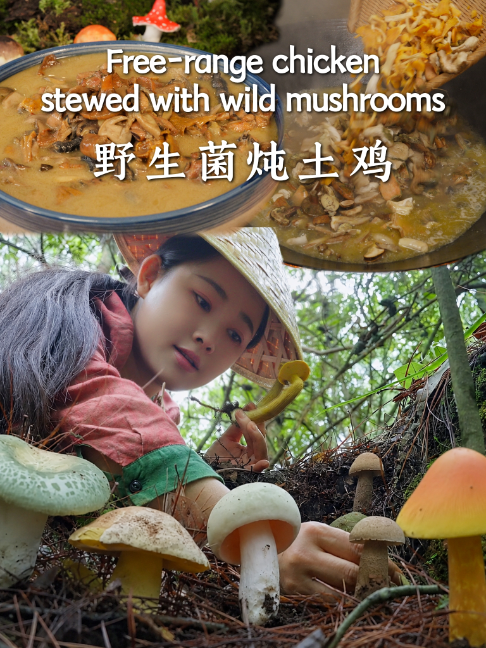 @滇西小哥 Dianxixiaoge