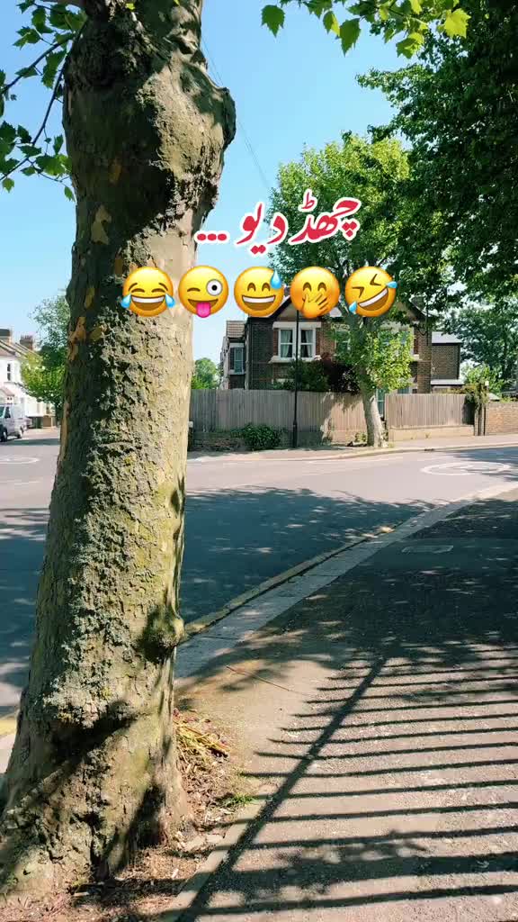 @Mehreen_Ahmed