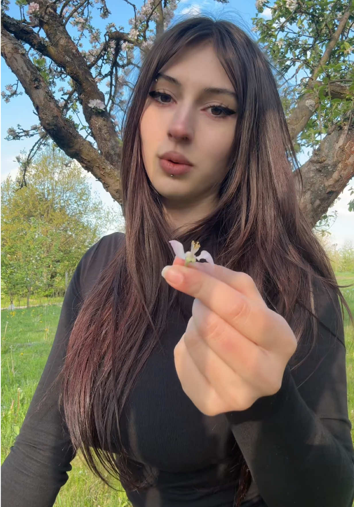 @hinxycrybaby