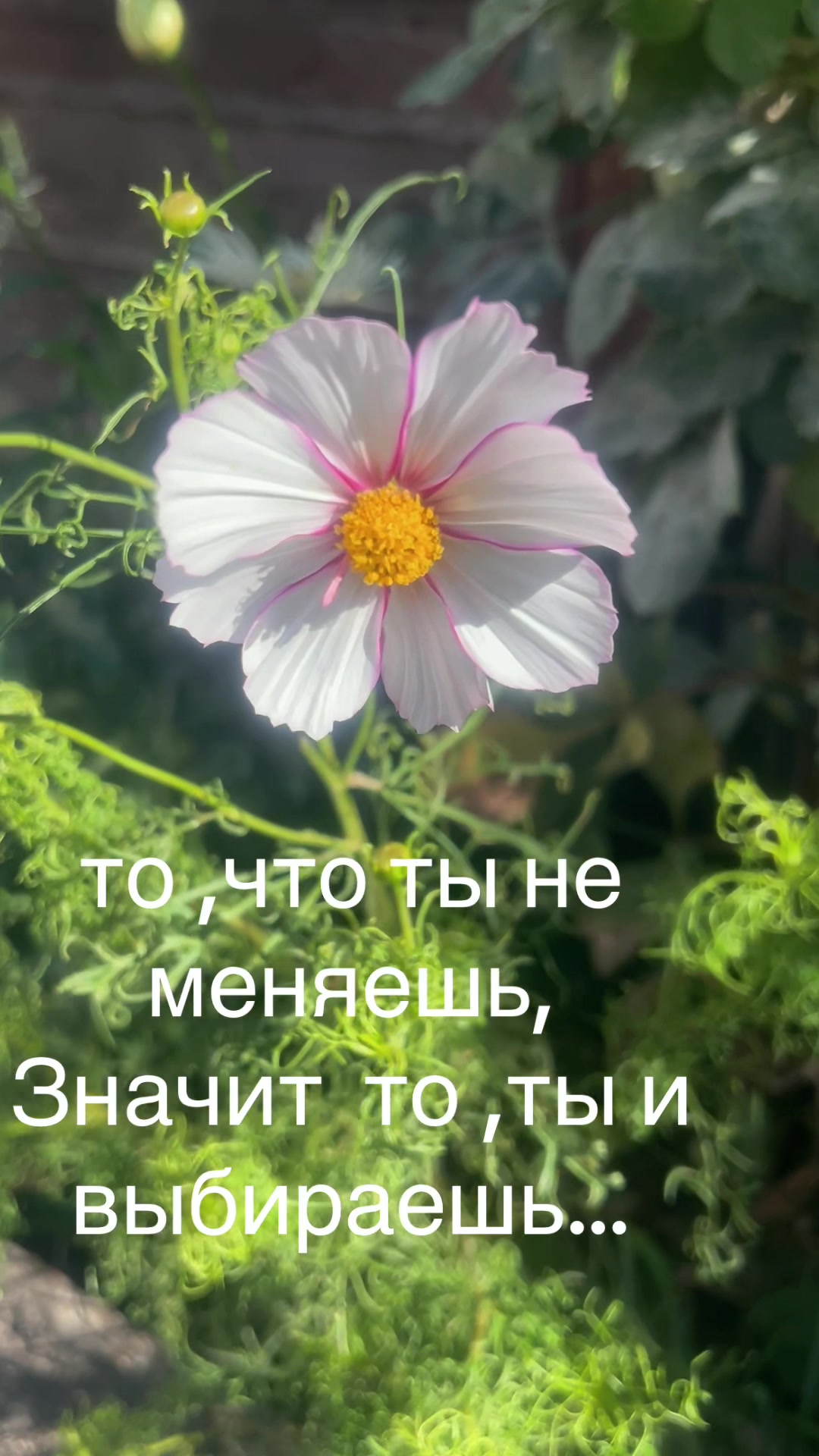 @ANASTASIA ❤️M❤️❤️