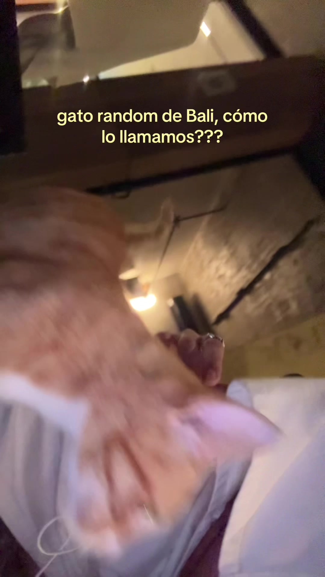 @melladitto