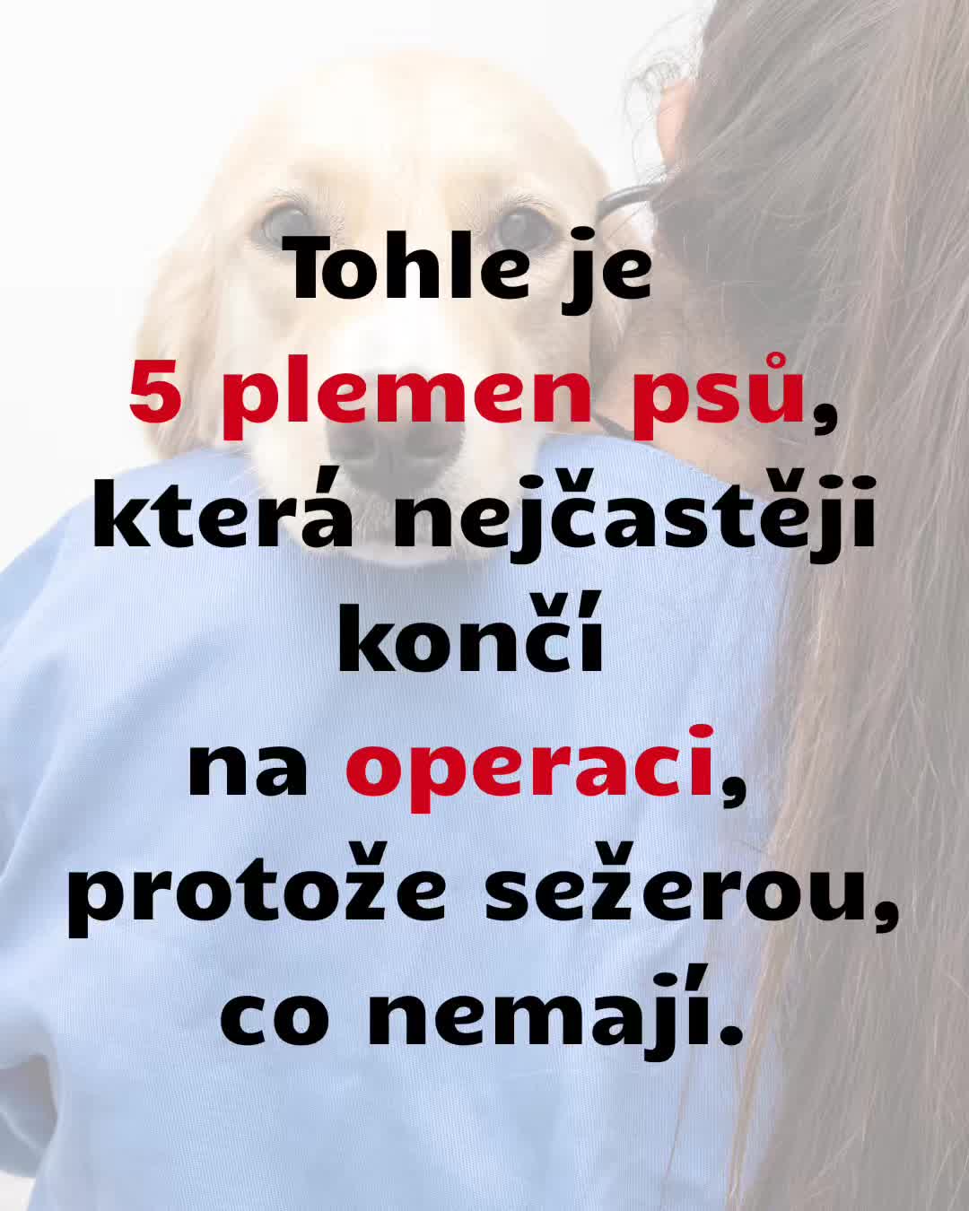 @Náš veterinář