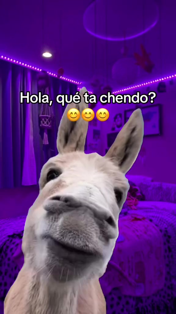 @Joxiry Vindas🩷🫧👑