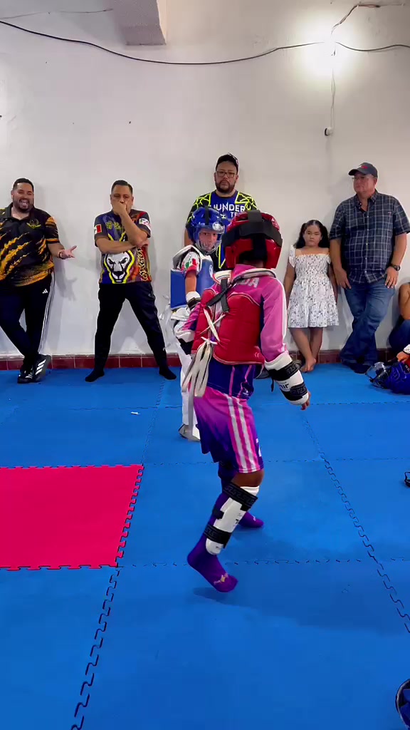 @taekwondolionsteam