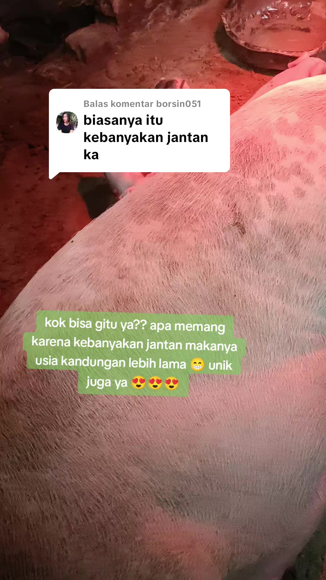 @mama Brigita