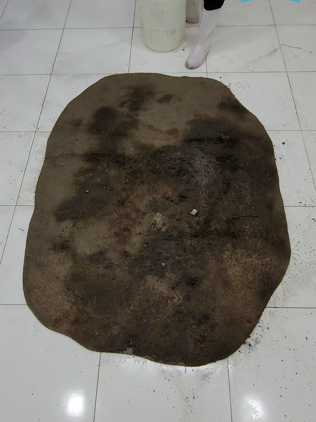 @magnusrugcleaning