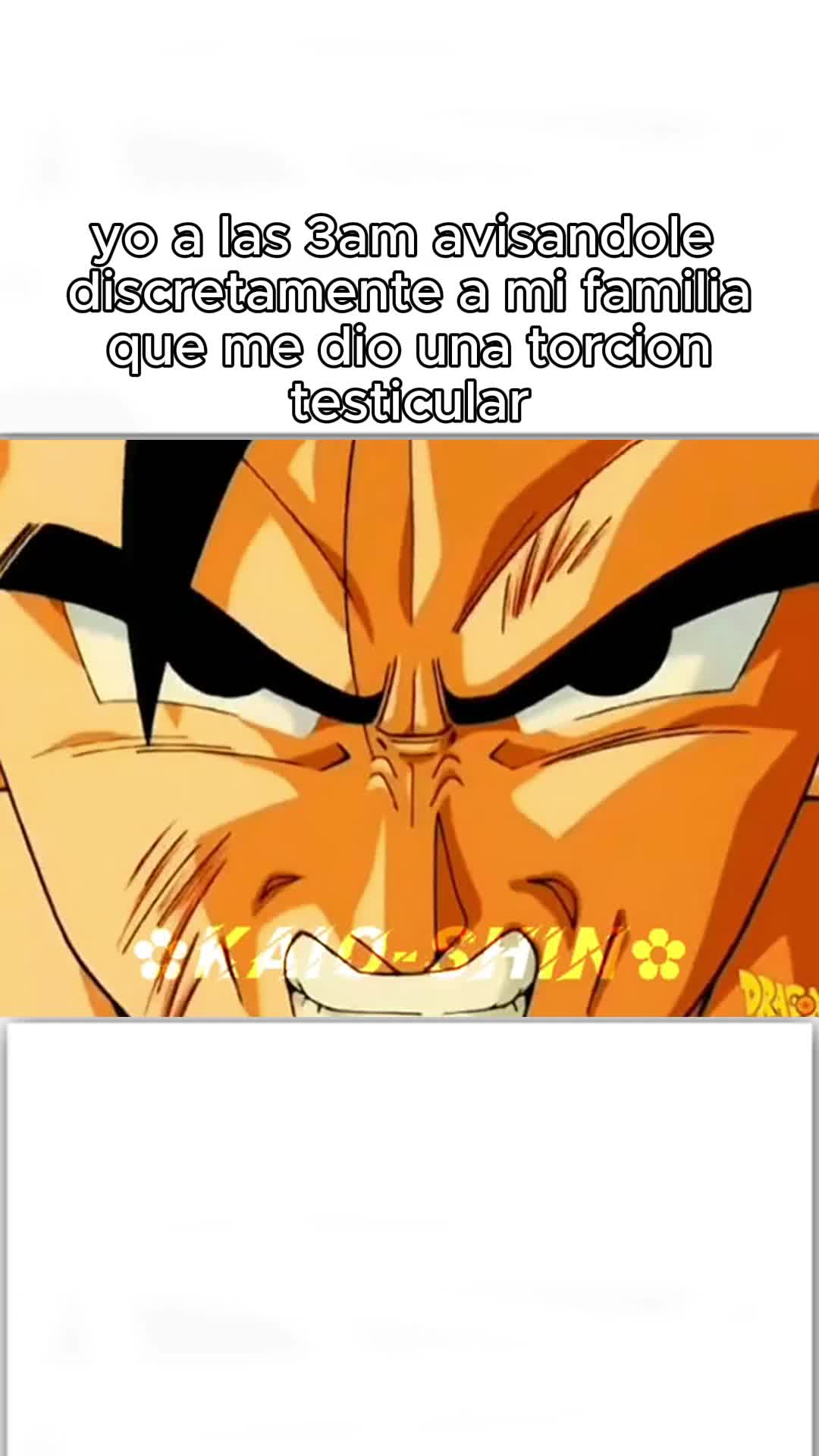 @No&rsquo;t Yael