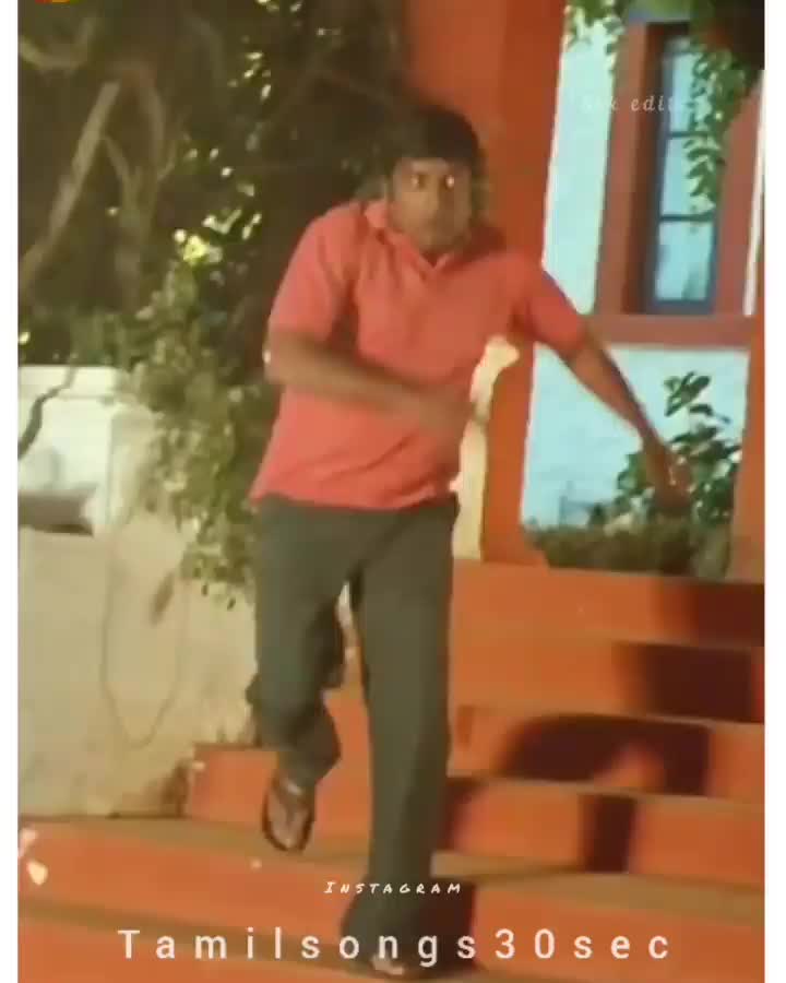 @🌴🐅பனைமரம்🐅🌴