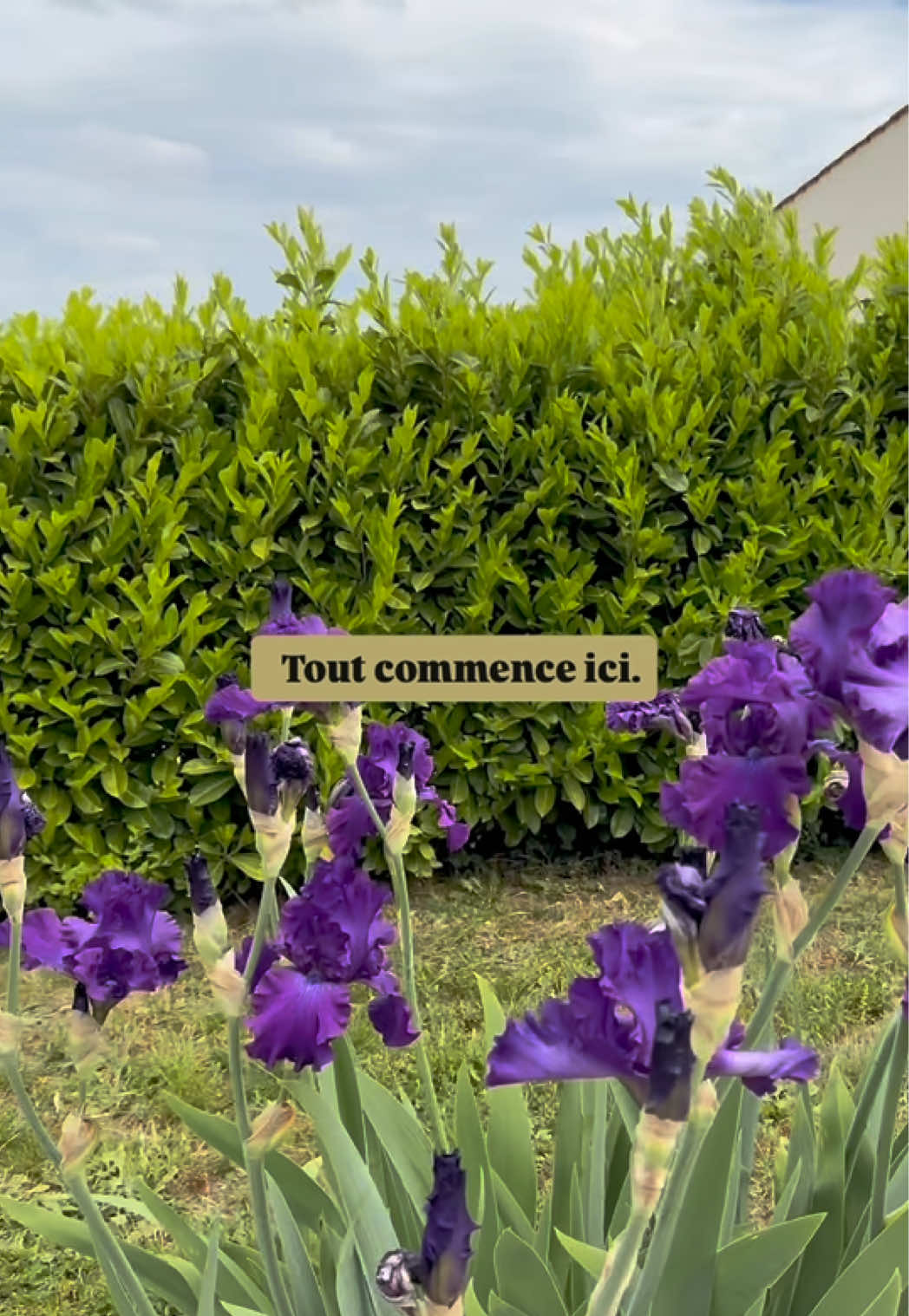 @La Tour des Vents ~ Dordogne