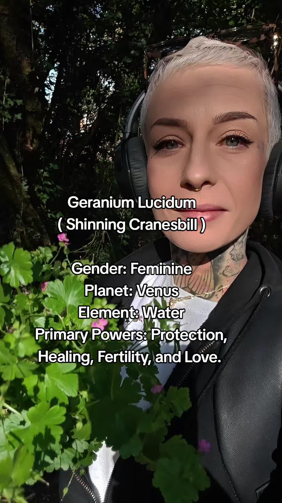 @Kempi D&ouml;kk&agrave;lfar