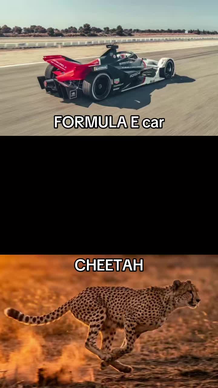 @FLASH-MOTOR