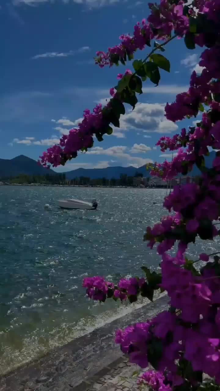 @Alone ๐