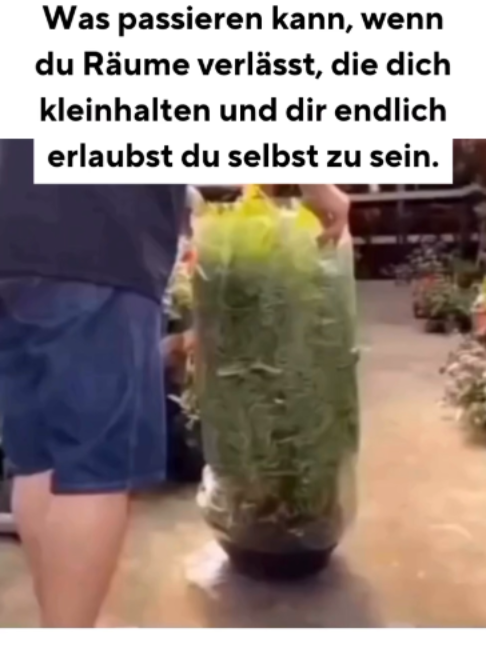 @Laura Malina Seiler