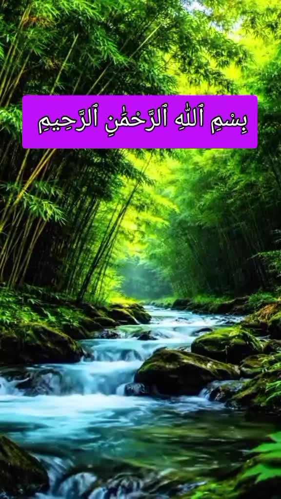 @Syed Imran 11483