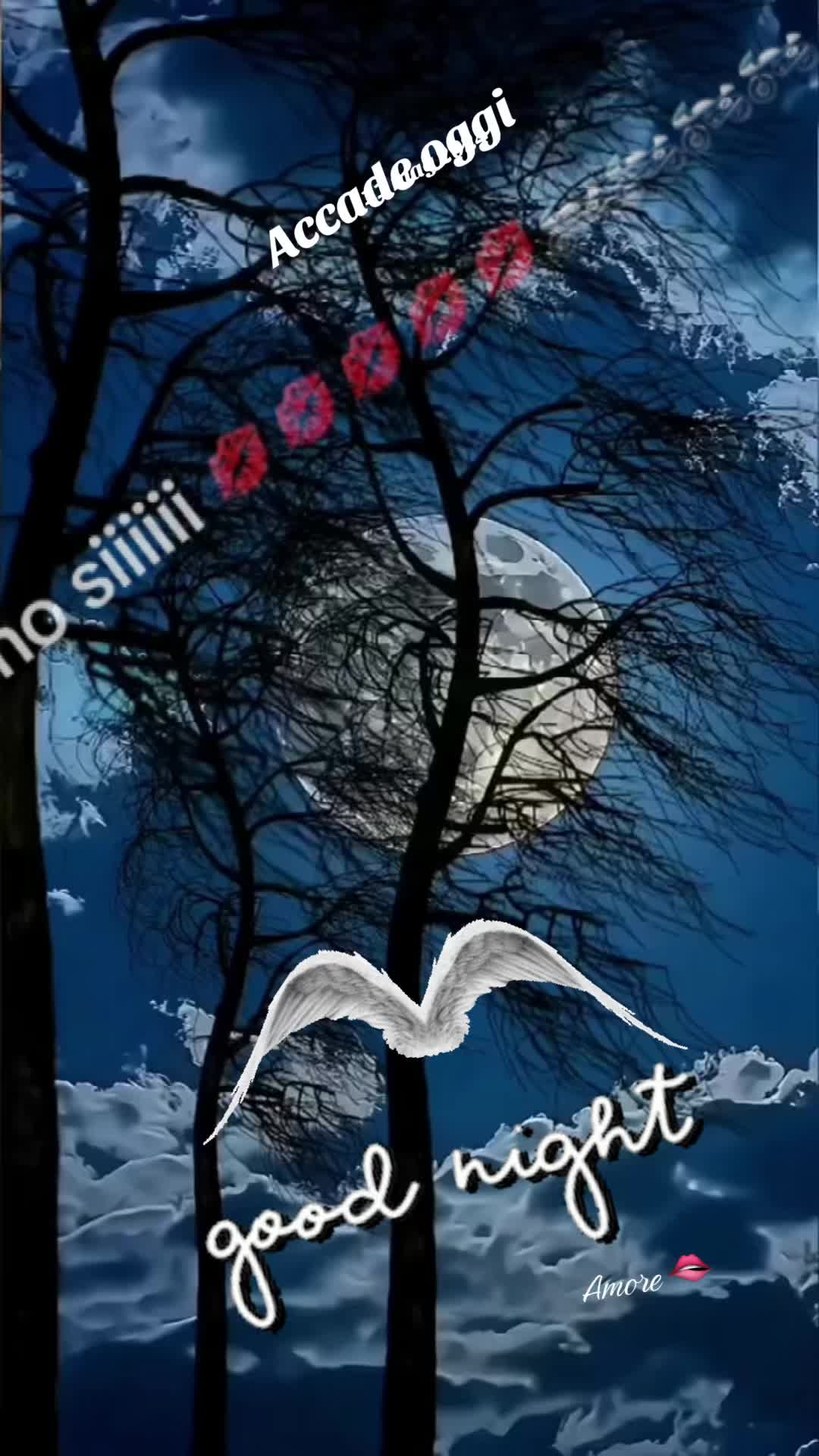 @Amoreโค๏ธ๐น