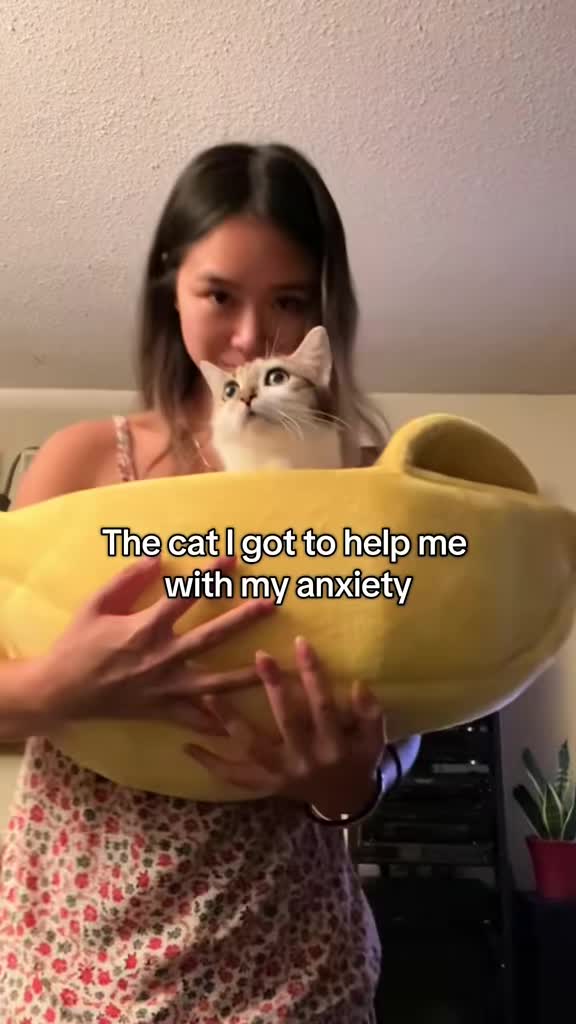 @Suki Purrs