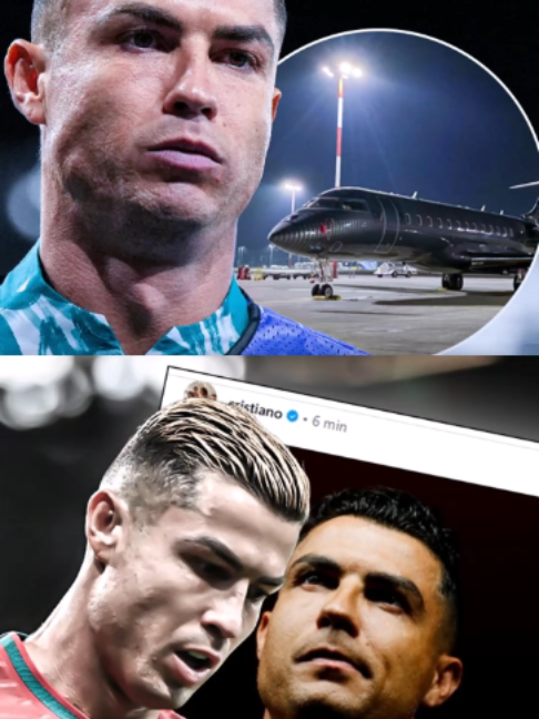 @Le Fennec FC