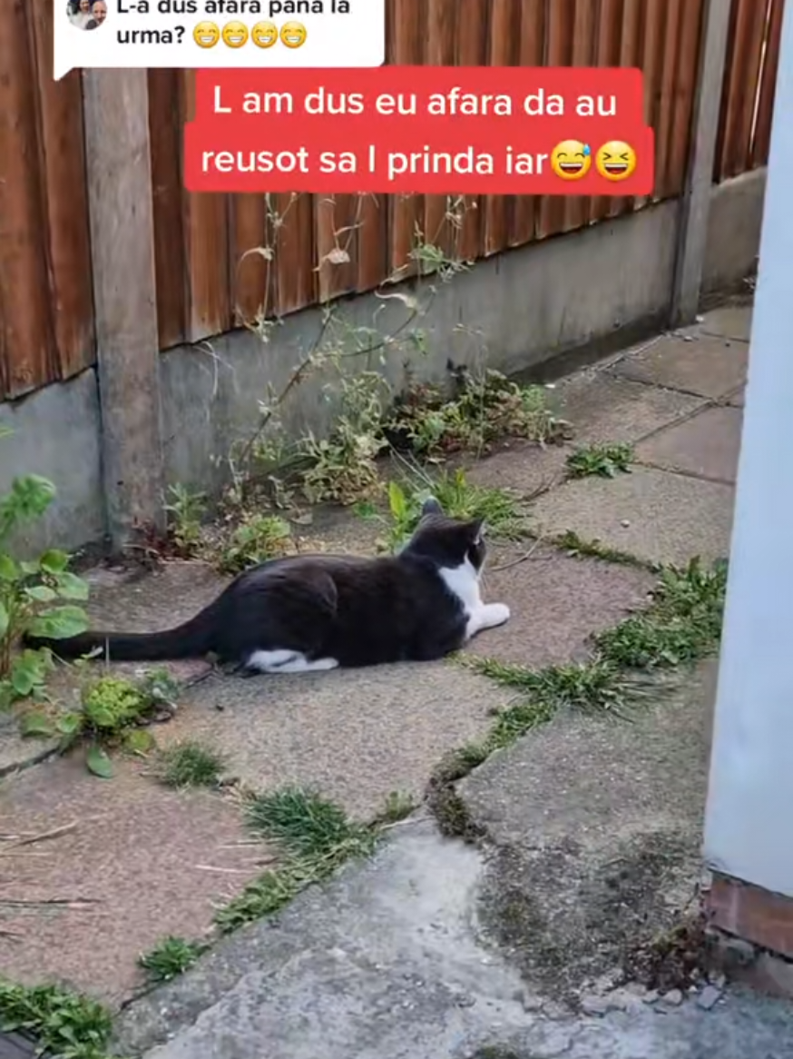 @🐯Aliss.K🤍🍫