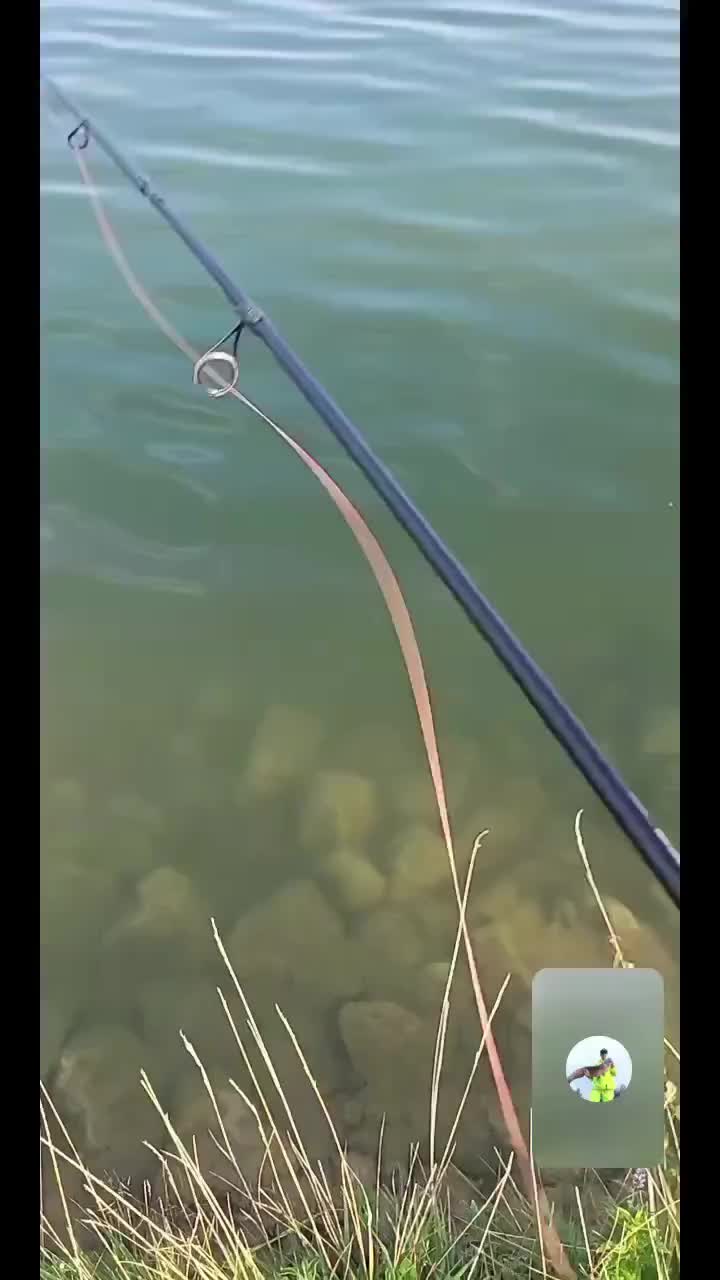 @Stefan🎣Fishing🎣die🎣Legende