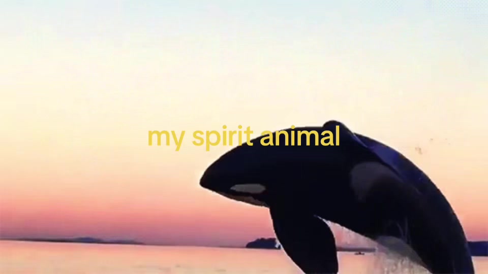 @hfyhgfrty
