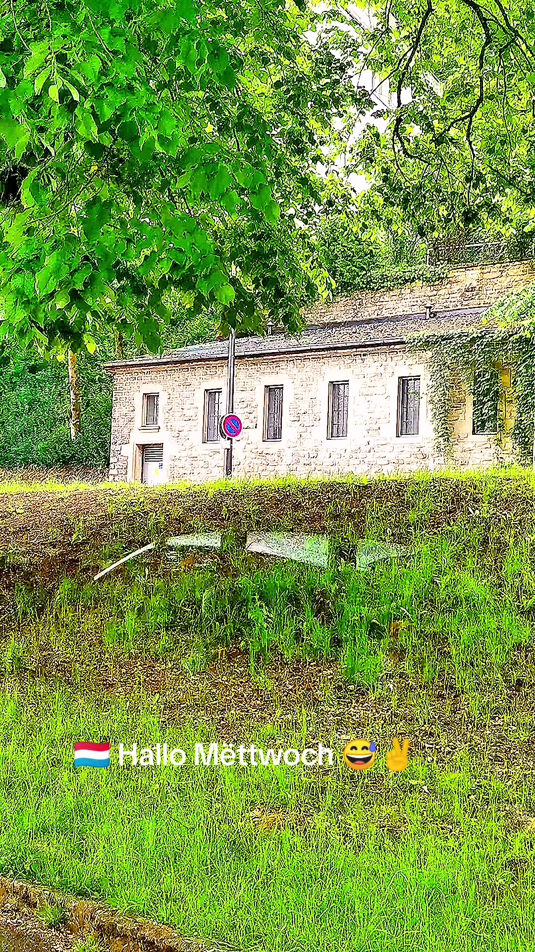 @Gra🙃ça🇱🇺