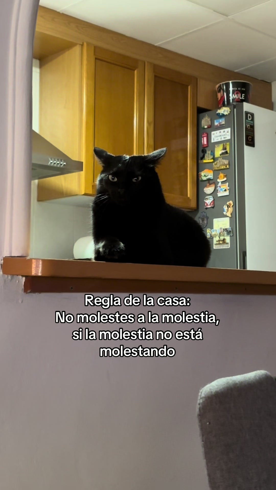 @BlackCatsMatter